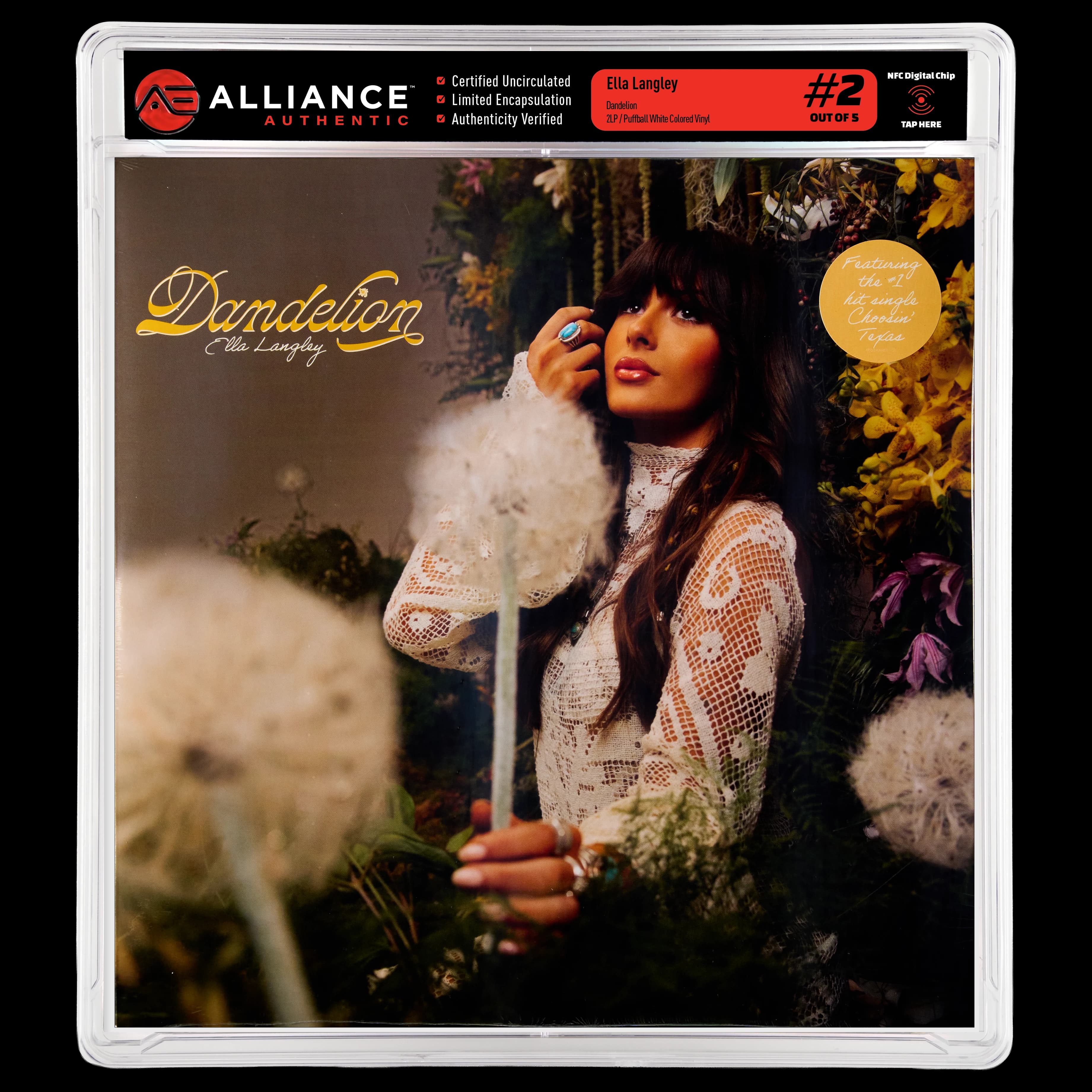 Front image of "Dandelion" #2
